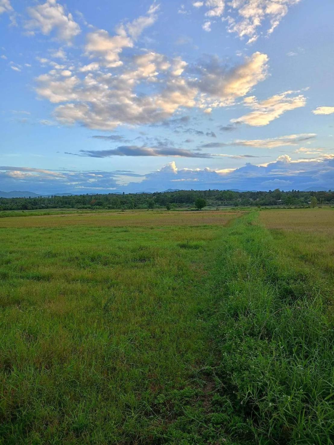 Baanlungchuhomestay&Cafe Mae Taeng Luaran gambar