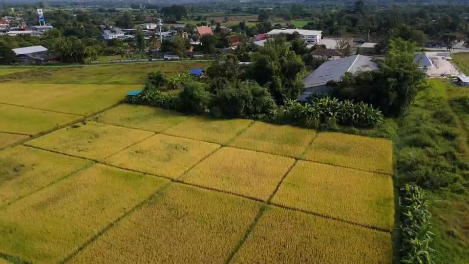 Baanlungchuhomestay&Cafe Mae Taeng Luaran gambar